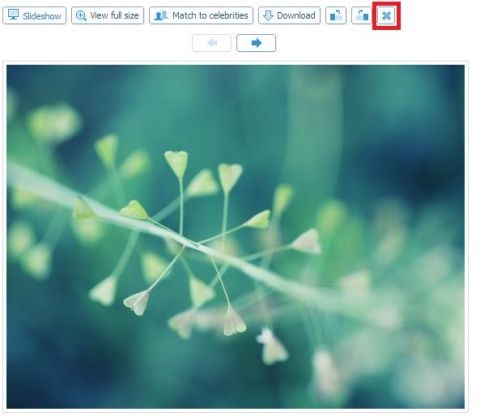 Click to view photo in full size